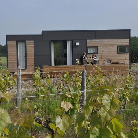 Les Cottages Des Pierres D'Aurele Saint-Georges-sur-Cher Cameră foto